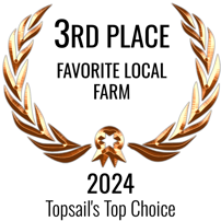Illustration of a decorative bronze laurel wreath, symbolizing victory and achievement, featuring intertwined leaves and a central ribbon.