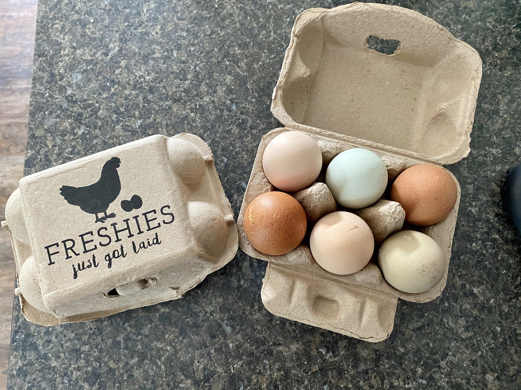 Carton of fresh eggs with a humorous label reading "FRESHIES just got laid," showcasing six eggs in various colors, placed on a dark countertop.